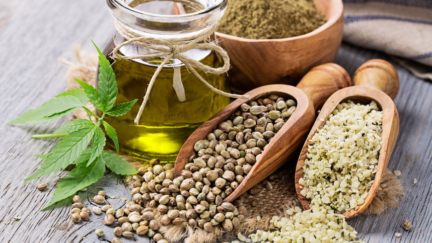  CBD Öl – Anwendungsgebiete und Wissenswertes zum Trendprodukt