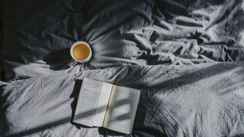 7 Bücher von Dan Brown, die du unbedingt gelesen haben musst