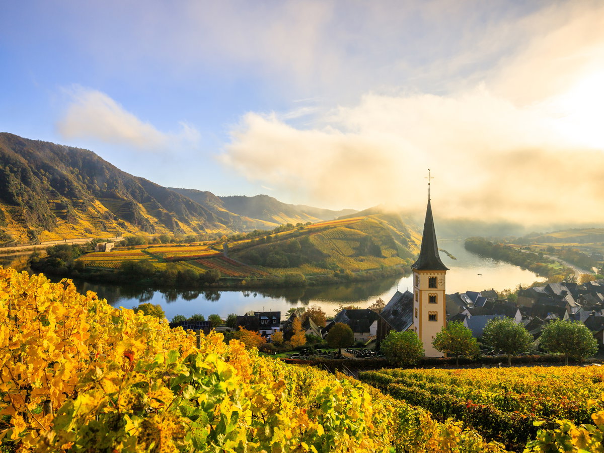 Weinberge Mosel