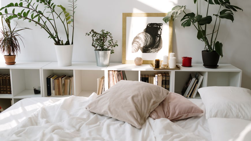 Pflanzen im Schlafzimmer? Diese 3 haben dort nichts zu suchen