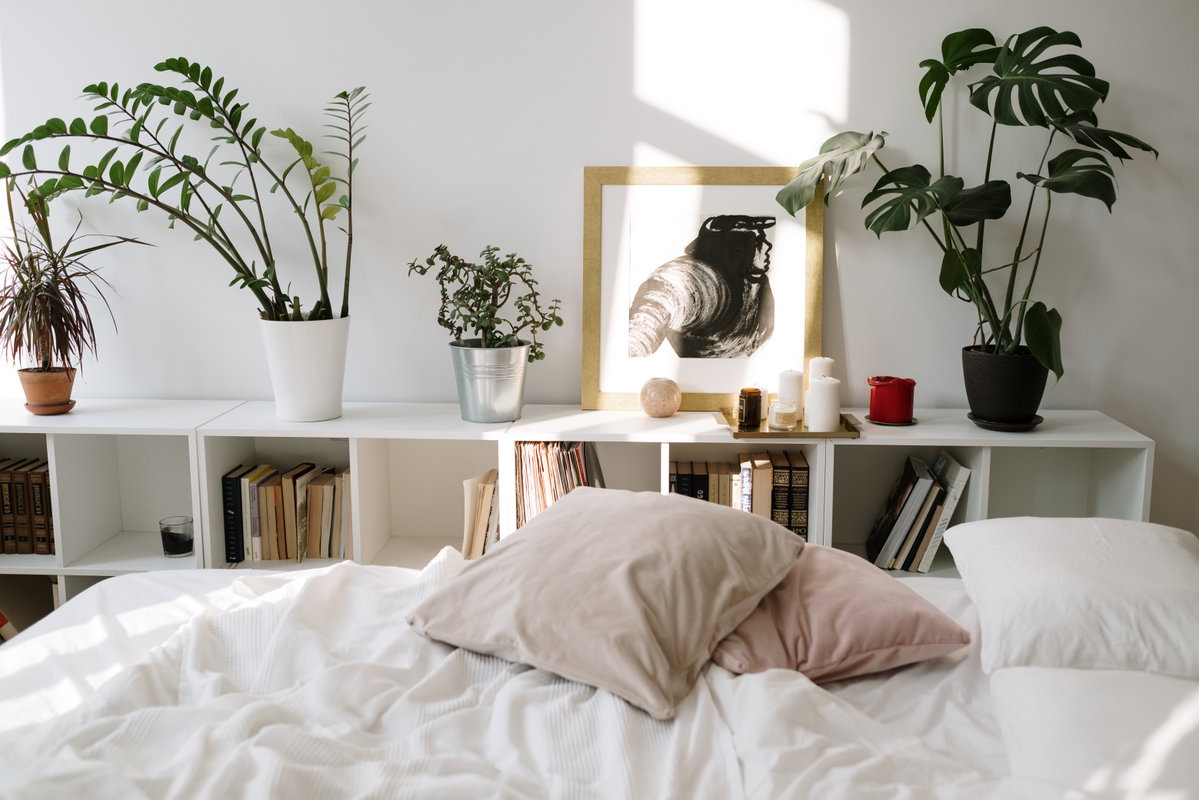 Bett mit Kissen und Pflanzen, die auf enem Regal stehen