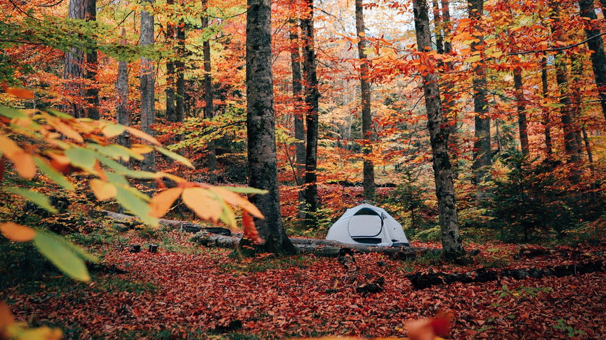 Die schönsten Campingplätze im Herbst: Naturerlebnis abseits der Hochsaison