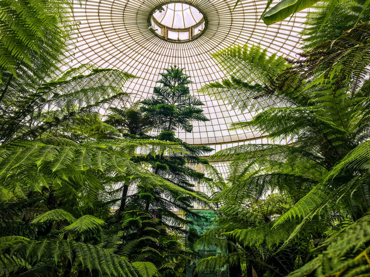 Botanischer Garten