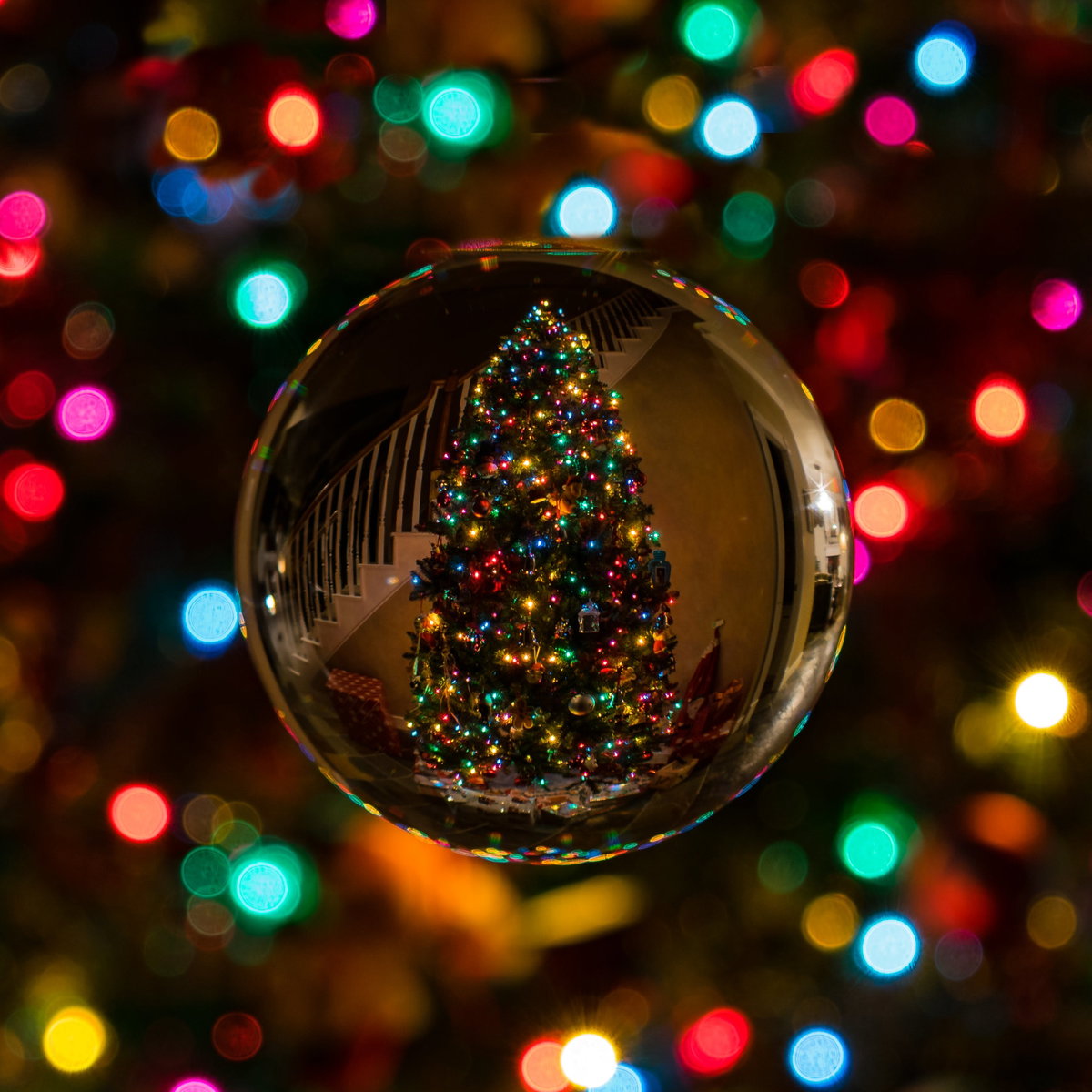 Bunte Lichterkette und Weihnachtsbaum in Kugel