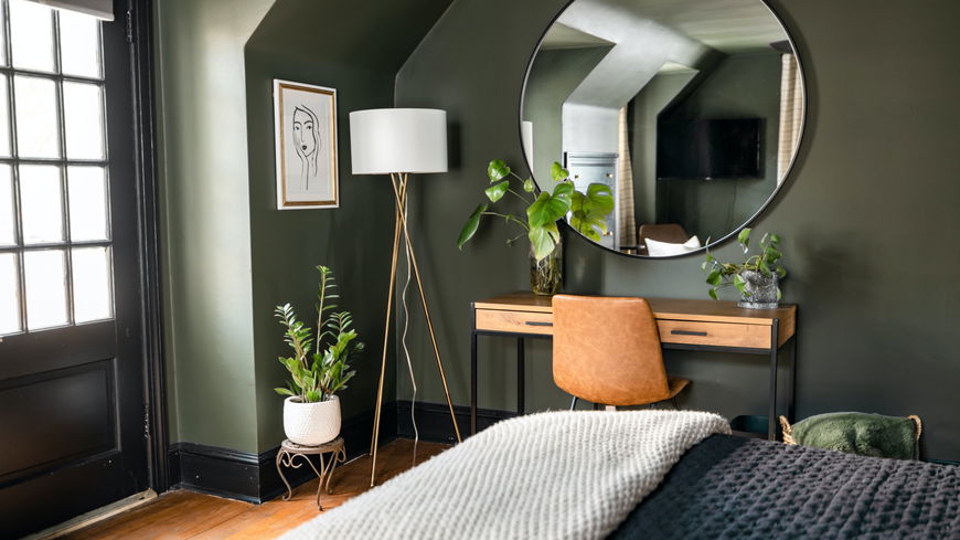 Edles Ambiente: 4 Pflanzen, die deine Wohnung luxuriöser wirken lassen