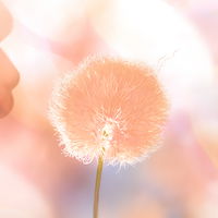 Die Pantone-Farbe "Peach Fuzz" ist die Trendfarbe 2024!