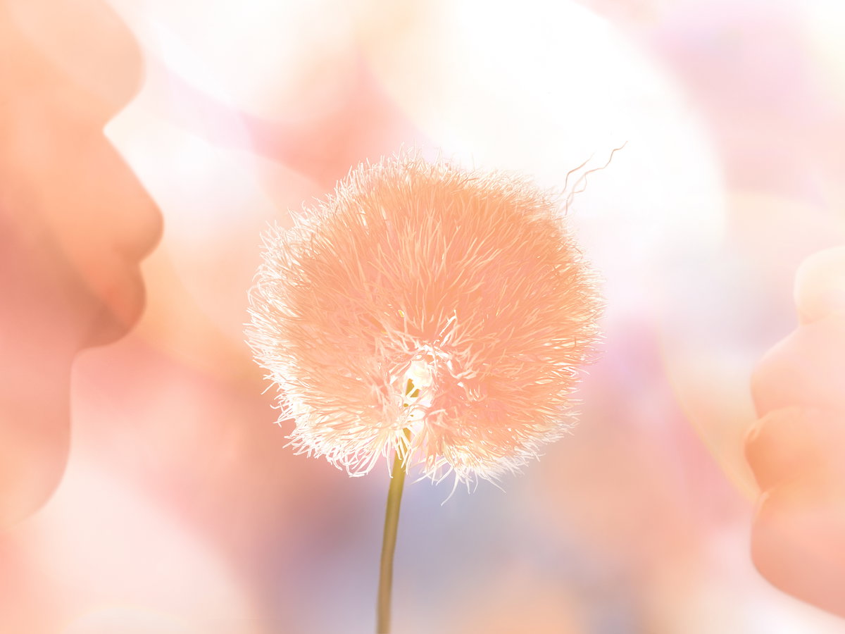 Peach Fuzz