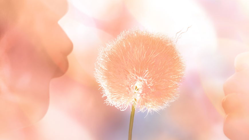 Die Pantone-Farbe "Peach Fuzz" ist die Trendfarbe 2024!