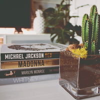 Stilvoll und dekorativ: Diese 6 Coffee Table Books von Amazon verschönern dein Zuhause