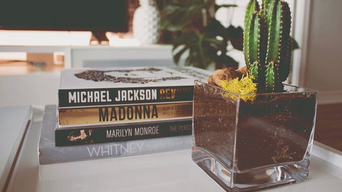 Stilvoll und dekorativ: Diese 6 Coffee Table Books von Amazon verschönern dein Zuhause