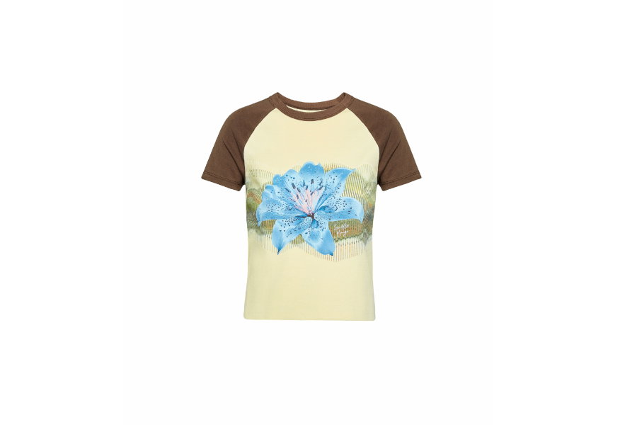 Siedres Shirt
