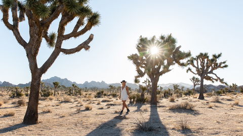 Die 5 schönsten Reiseziele für 2024 – laut Travel-Creatorin