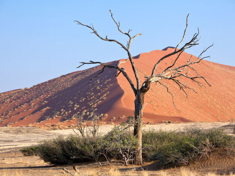 Die Landschaft Namibias