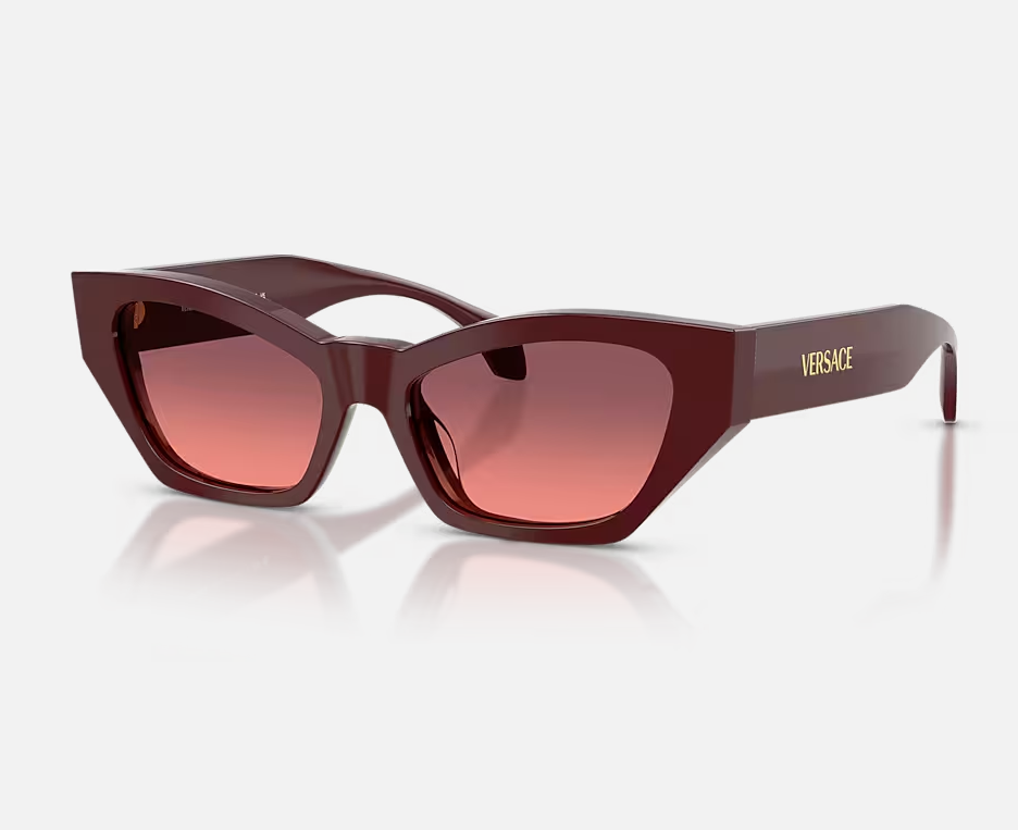 Editor's Picks Dezember