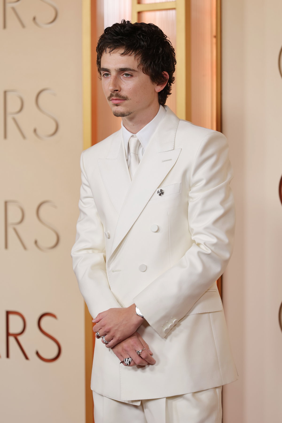 Die Trendfarbe der Oscars 2026 ist das schönste Fashion-Statement, das wir uns vorstellen können