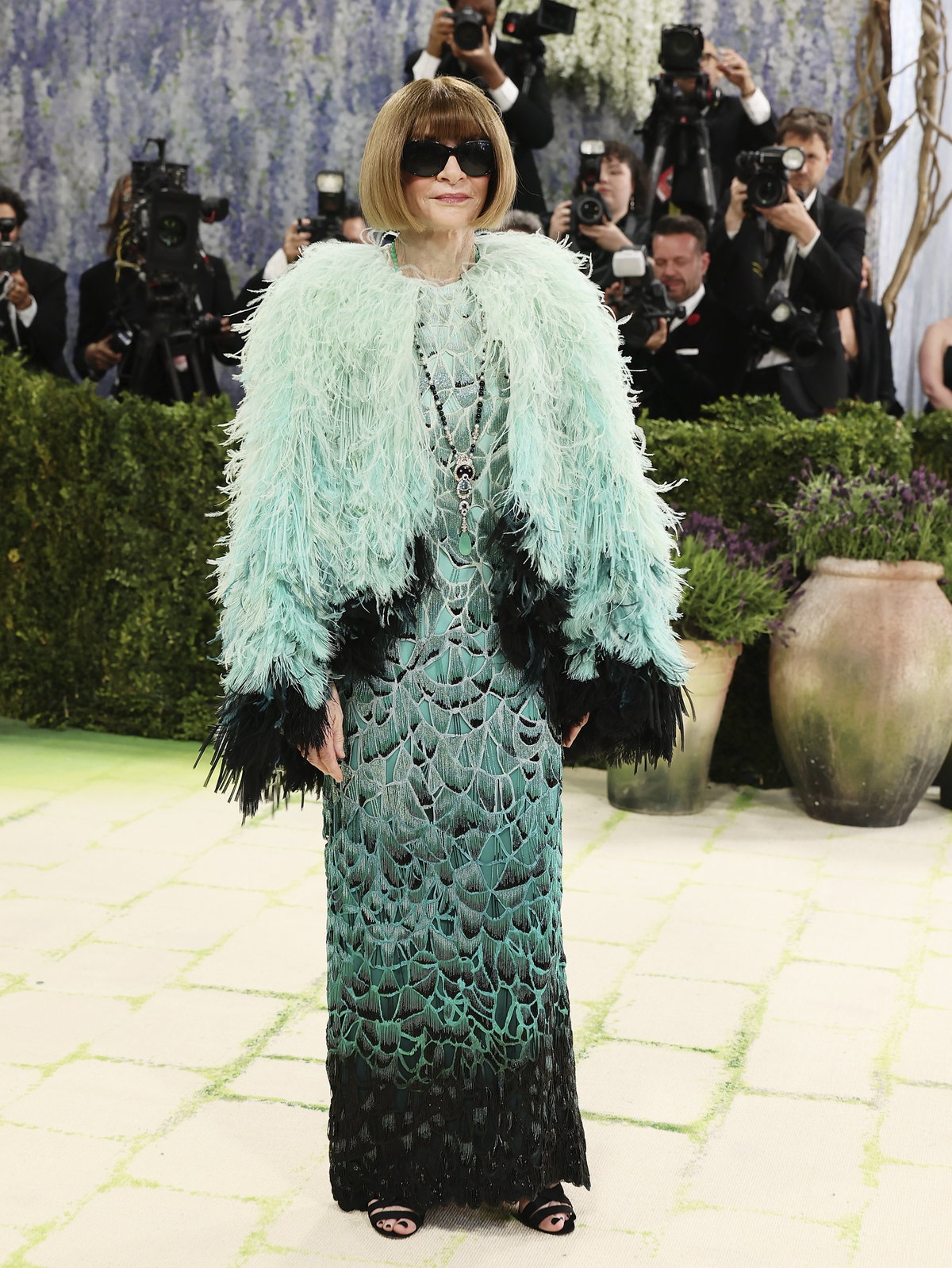 Anna Wintour Met Gala 2026