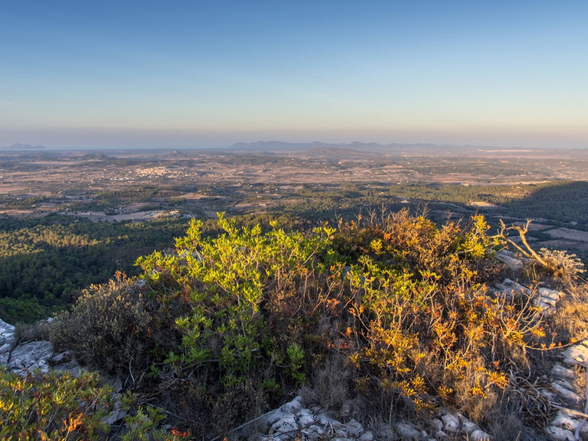 Puig de Randa, der mallorquinische Tafelberg