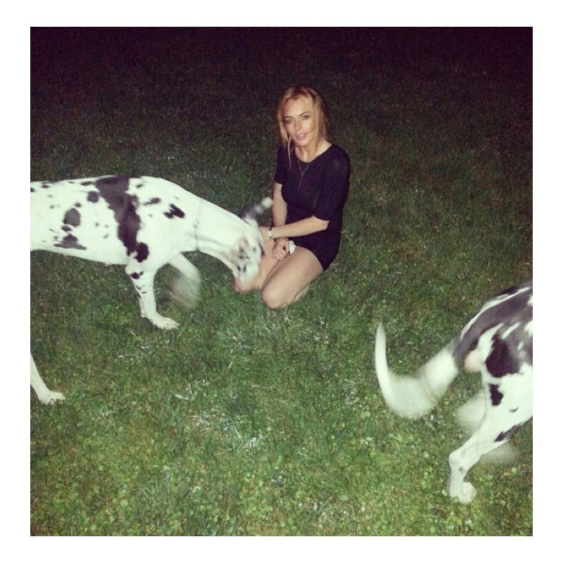 Lindsay Lohan mit zwei riesigen Hunden