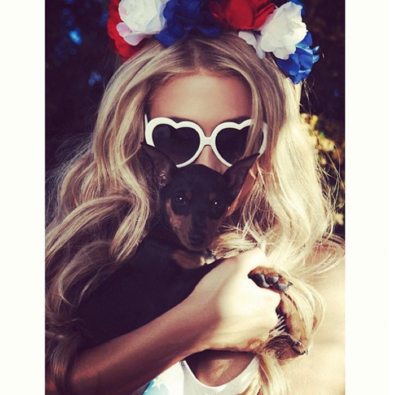 Paris Hilton gibt ihren Hunden immer sehr kreative Namen z.B. Tinkerbell