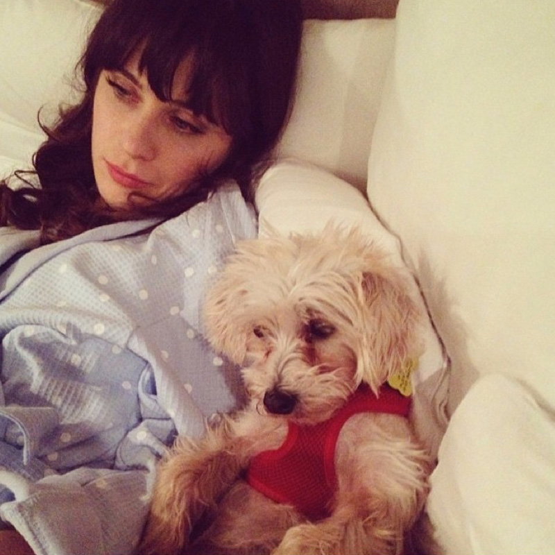 Zooey Deschanel
