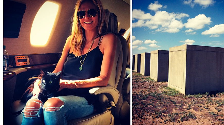 Meeeeow! Heidi Klum bringt eine Katze von ihrem Texas-Trip mit