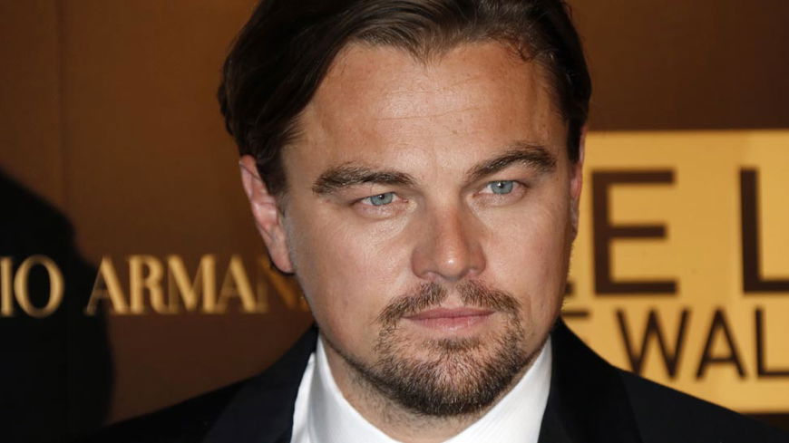 Leonardo DiCaprios Nichte wird vermisst