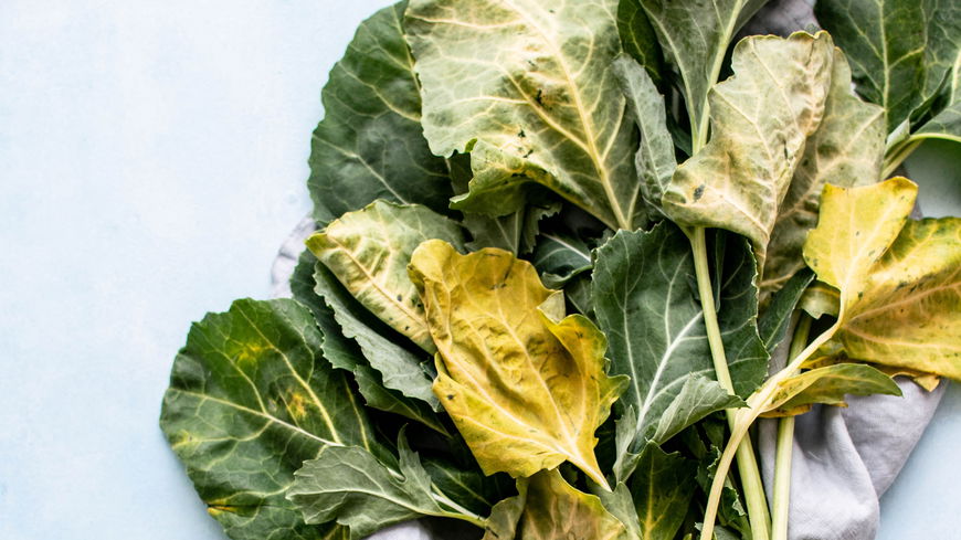 So nimmst du ganz easy und gesund ab mit der Kohlrabi-Diät