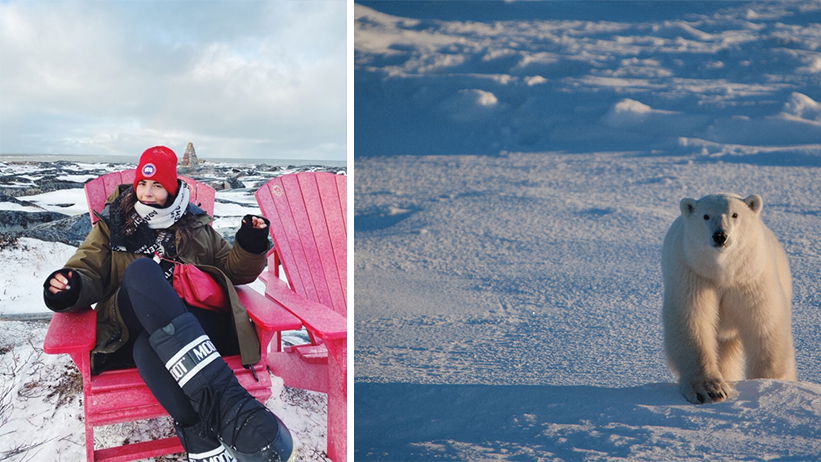 Arktis: So cool ist eine Safari bei den Eisbären am anderen Ende der Welt