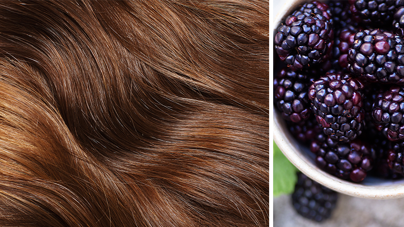 Blackberry Hair: Tragen wir jetzt alle diesen Haartrend?