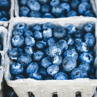 Laut Studie: Isst du so viele Blaubeeren am Tag, schmilzt dein Bauchfett