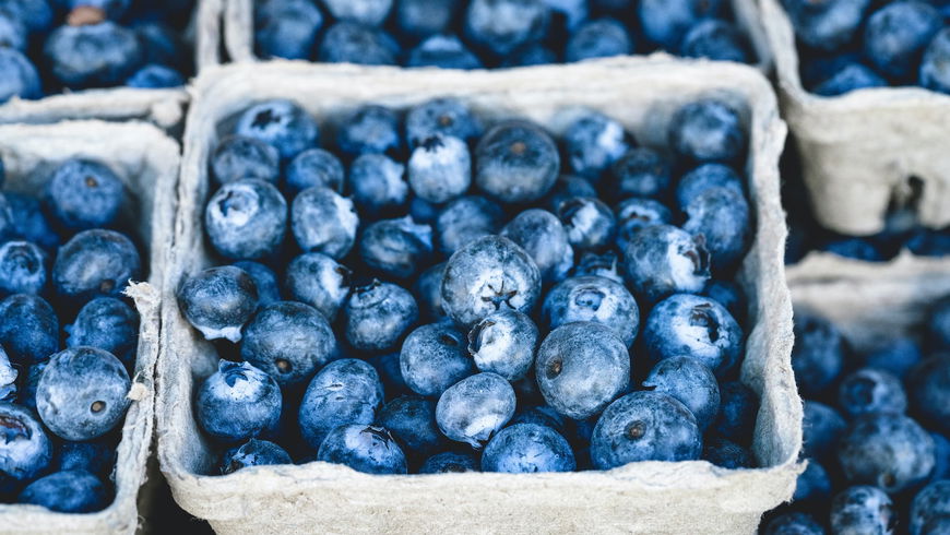 Laut Studie: Isst du so viele Blaubeeren am Tag, schmilzt dein Bauchfett
