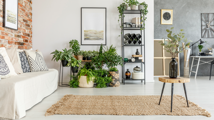 IKEA: So stilvoll ist die Vitrinen-Kollektion des schwedischen Möbelhauses