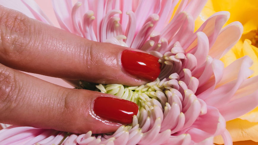 Vagina: Das sagt die Vulva über deine Gesundheit aus