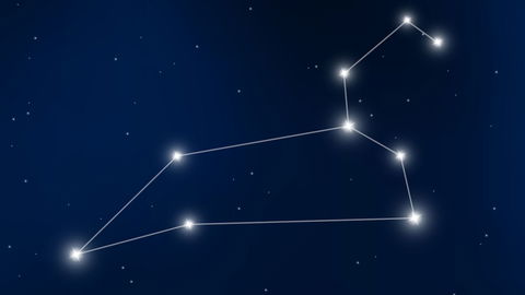 Löwe Eigenschaften: Das ist typisch für das Sternzeichen
